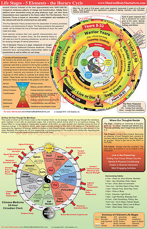 5 Element Stages of Life